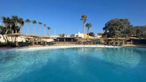 a large swimming pool with palm trees and umbrellas at TAIGA Almeria Playa in Palomares