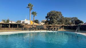 a large swimming pool with palm trees and umbrellas at TAIGA Almeria Playa in Palomares