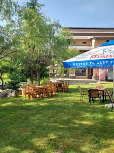 Φωτογραφία από το άλμπουμ του Pensiunea La Taverna σε Trăisteni +124 φωτογραφίες