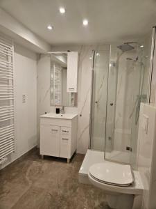 a bathroom with a shower and a toilet and a sink at Ferienwohnung Bad Bergzabern in Bad Bergzabern +10 photos