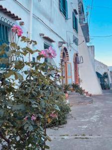 Градина пред Il cortile fiorito