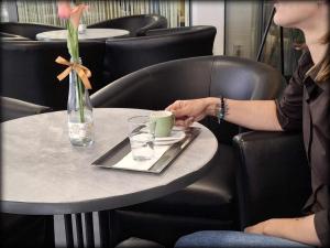 Posezení v ubytování Hotel Unicornis