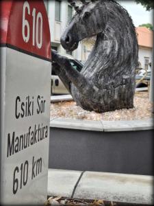 Fotografie z fotogalerie ubytování Hotel Unicornis v destinaci Eger