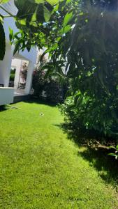 Um jardim em Apartmani Vila Milaris