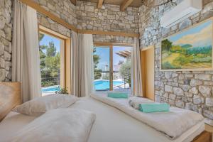 Piscina de la sau aproape de Villa BIOKOVO BAST