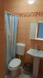 Um banheiro em Apartmani Vila Milaris