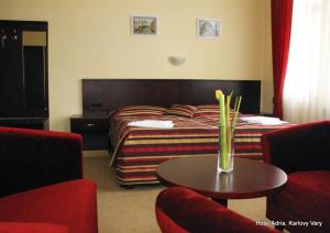 Zdjęcie z galerii obiektu Hotel Adria w Karlowych Warach
