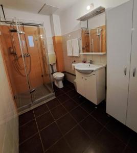 a bathroom with a shower and a sink and a toilet at APARTMENT POPS in Cluj-Napoca