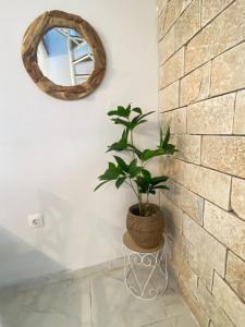Φωτογραφία από το άλμπουμ του Dinateli Houses - Live like a local in Corfu στους Καστελλάνους