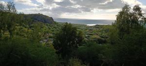 La FermeAmanda's Tiny Heaven的享有树木和水面的山谷美景