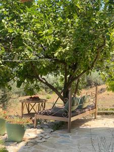 Κήπος έξω από το Dinateli Houses - Live like a local in Corfu