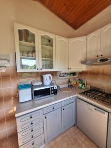Kuchyň nebo kuchyňský kout v ubytování Apartmani Milenko Lubenice