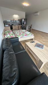 a living room with a couch and a bed at PENZION SLOVÁCKO in Ostrožská Nová Ves +5 photos