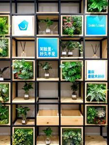 重庆Smiley's Long Time No See Hostel的相册照片