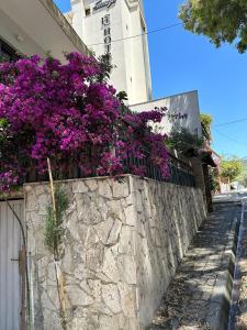 Fotografie z fotogalerie ubytování Eja Mare Guest House v destinaci Vlorë + 20 fotografií