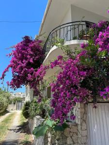 Zahrada ubytování Eja Mare Guest House