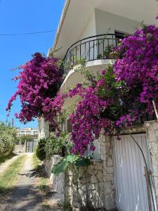 Zahrada ubytování Eja Mare Guest House