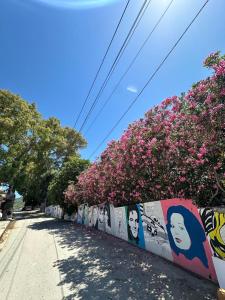 Fotografie z fotogalerie ubytování Eja Mare Guest House v destinaci Vlorë
