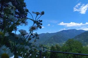 Paesaggio naturale nelle vicinanze di questo campeggio di lusso