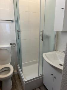 a bathroom with a shower and a toilet and a sink at Apartment 2 (+1) in Ljubač