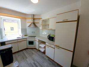Kuchyňa alebo kuchynka v ubytovaní Apartments in Grüner Umgebung