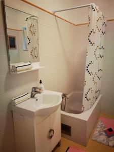 a bathroom with a sink and a tub and a shower at Apartment Loza Senj in Senj +13 photos