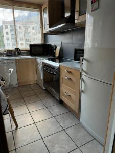 a kitchen with a stove and a refrigerator at Appartement T4 in Corte +6 photos