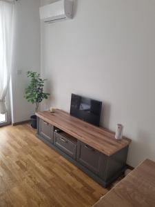 TV a/nebo společenská místnost v ubytování Apartment MareMare Budva