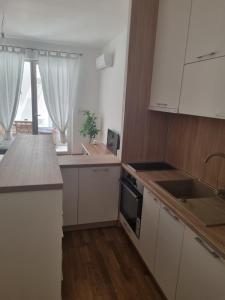 Kuchyň nebo kuchyňský kout v ubytování Apartment MareMare Budva