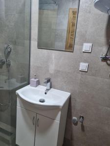Koupelna v ubytování Apartment MareMare Budva + 12 fotografií