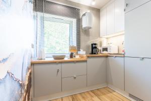 Kuchyňa alebo kuchynka v ubytovaní Apartament przy Starówce