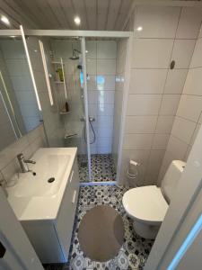 a bathroom with a sink and a toilet and a shower at House by the ocean in Mariehamn in Mariehamn +7 photos