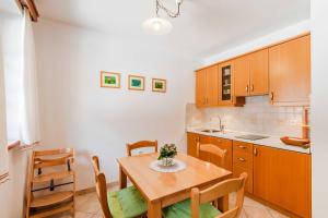 Kuchyň nebo kuchyňský kout v ubytování Apartma Miranda + 24 fotografií