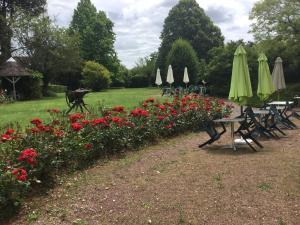a row of tables and umbrellas in a park with flowers at auberge andaine in La Ferté-Macé
