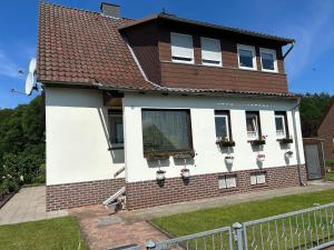 a house with windows and potted plants on it at Ferienwohnung Winzenburg Naturnah und ruhig gelegene Ferienwohnung nah am Steinhuder Meer und Dino Park Münchehagen in Rehburg-Loccum