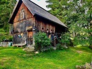Stara drewniana stodoła na polu trawy w obiekcie Schell-Hütte w mieście Preitenegg
