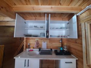 Virtuvė arba virtuvėlė apgyvendinimo įstaigoje Adrasan Eren Apart evleri