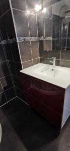 a bathroom with a sink and a mirror at Jolie dépendance proche forêt- Nemours in Poligny +11 photos