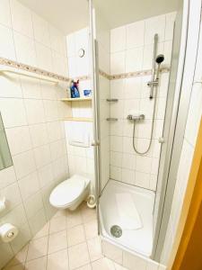 a bathroom with a shower and a toilet at Ferienwohnung Schönblick in Sankt Englmar