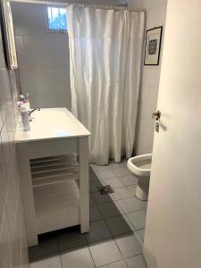 a bathroom with a sink and a toilet at Casa Drummond in Ciudad Lujan de Cuyo