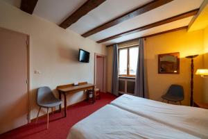 TV a/nebo společenská místnost v ubytování Hôtel A la Vignette - COLMAR-NORD