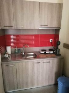 Kuchyň nebo kuchyňský kout v ubytování Villa Konstantinos