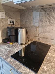 een aanrecht met een pot erop bij Luxury Apartment Paper in Zagreb