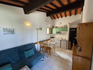 salon z niebieską kanapą i kuchnią w obiekcie Villa 3 pièces climatisée avec jardin, proche plage, piscine, parking, et animaux autorisés - Saint Cyprien - FR-1-106-32 w mieście Saint-Cyprien