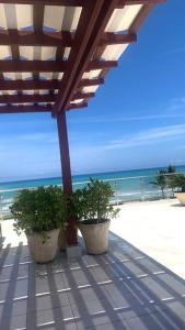 Gallery image of B3 beautiful ocean view penthouse - Ocean Front in Cabarete