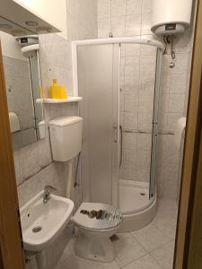 Koupelna v ubytování Apartment Igralište Mirakul + 37 fotografií