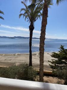 dos palmeras en una playa cerca del agua en La Manga - Castillo de Mar 1A - Mar menor, en La Manga del Mar Menor