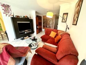 Μια τηλεόραση ή/και κέντρο ψυχαγωγίας στο Appartement avec 2 jardins privés