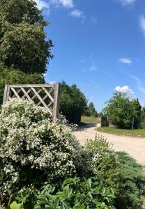 a wooden gate with white flowers on a dirt road at Viesu nams Vālodzes in Sigulda
