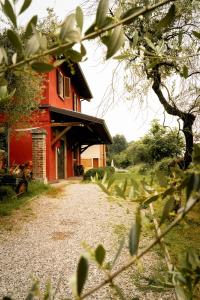 Vonkajšia záhrada v ubytovaní Agriturismo Podere Nigriano